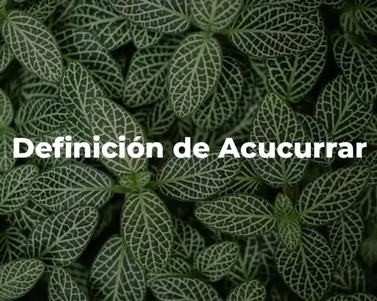 Definición de Acucurrar