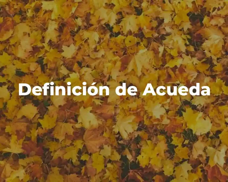 Definición de Acueda