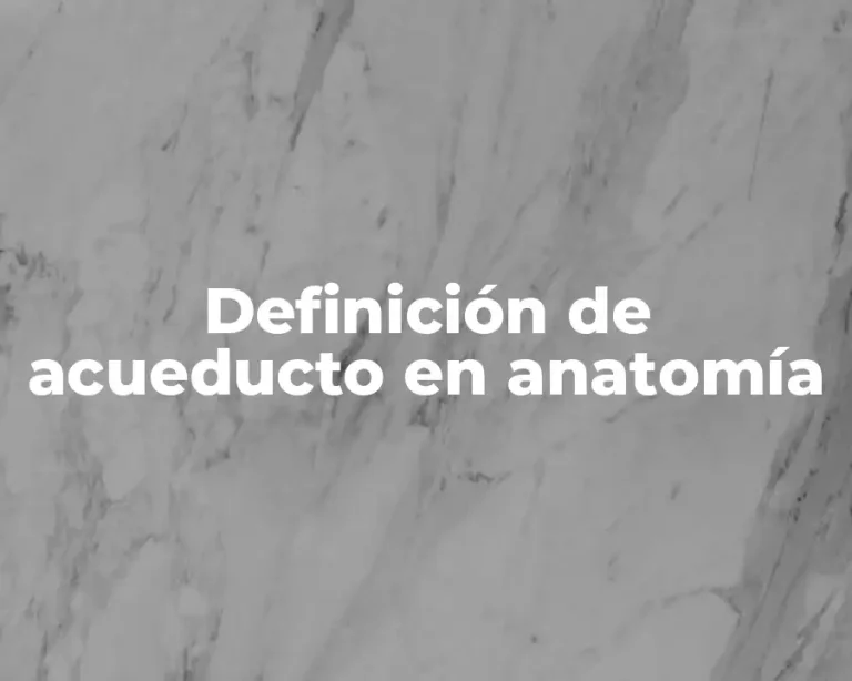 Definición de acueducto en anatomía