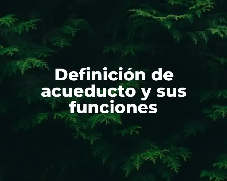 Definición de acueducto y sus funciones