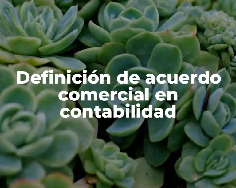 Definición de acuerdo comercial en contabilidad