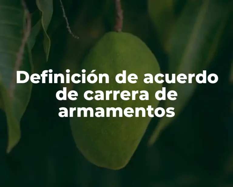 Definición de acuerdo de carrera de armamentos