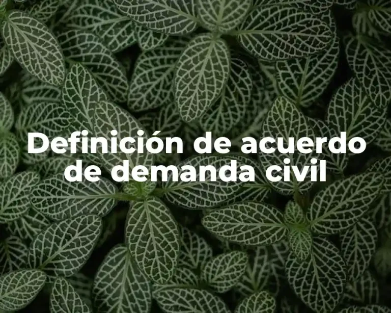 Definición de acuerdo de demanda civil