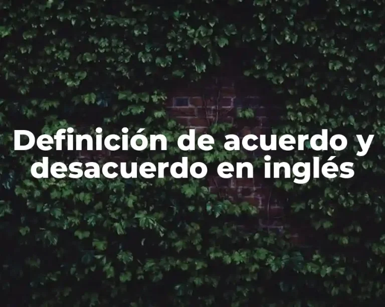 Definición de acuerdo y desacuerdo en inglés