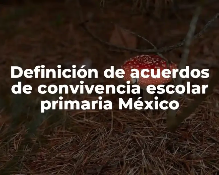 Definición de acuerdos de convivencia escolar primaria México