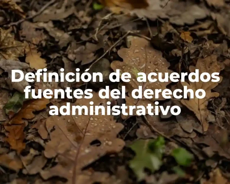 Definición de acuerdos fuentes del derecho administrativo