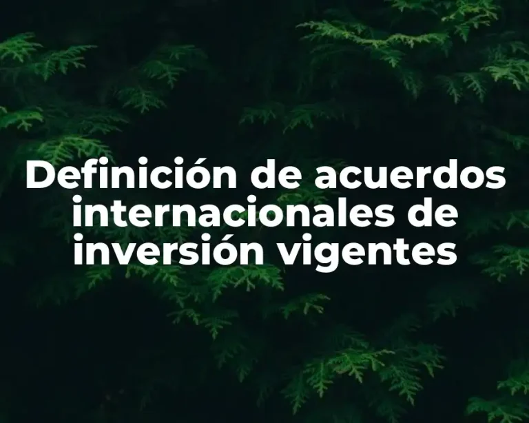 Definición de acuerdos internacionales de inversión vigentes