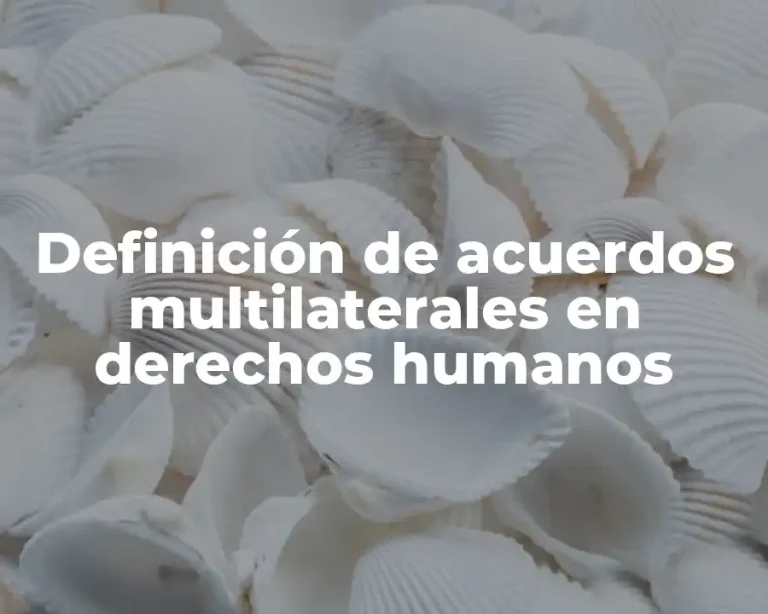 Definición de acuerdos multilaterales en derechos humanos