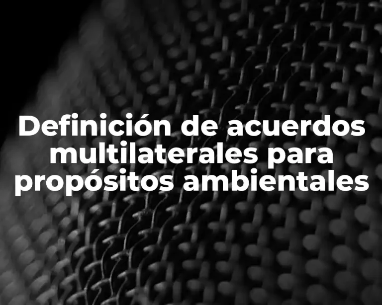 Definición de acuerdos multilaterales para propósitos ambientales
