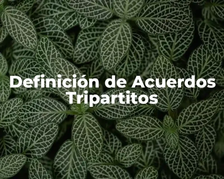 Definición de Acuerdos Tripartitos