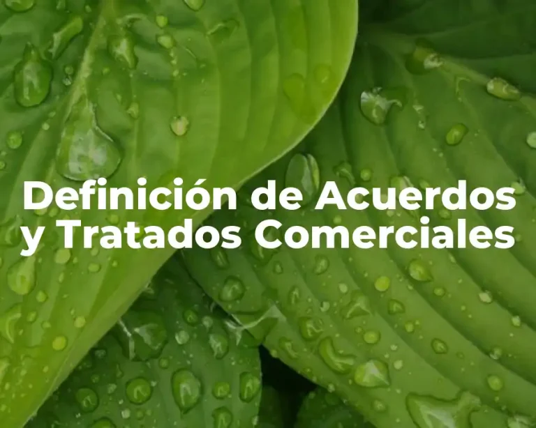 Definición de Acuerdos y Tratados Comerciales