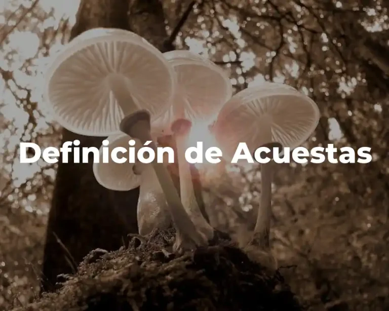 Definición de Acuestas