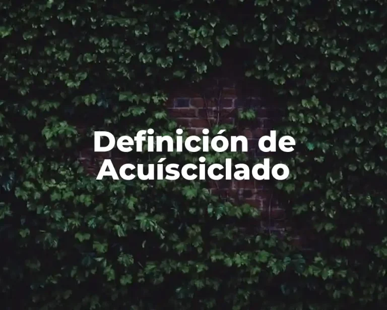 Definición de Acuísciclado