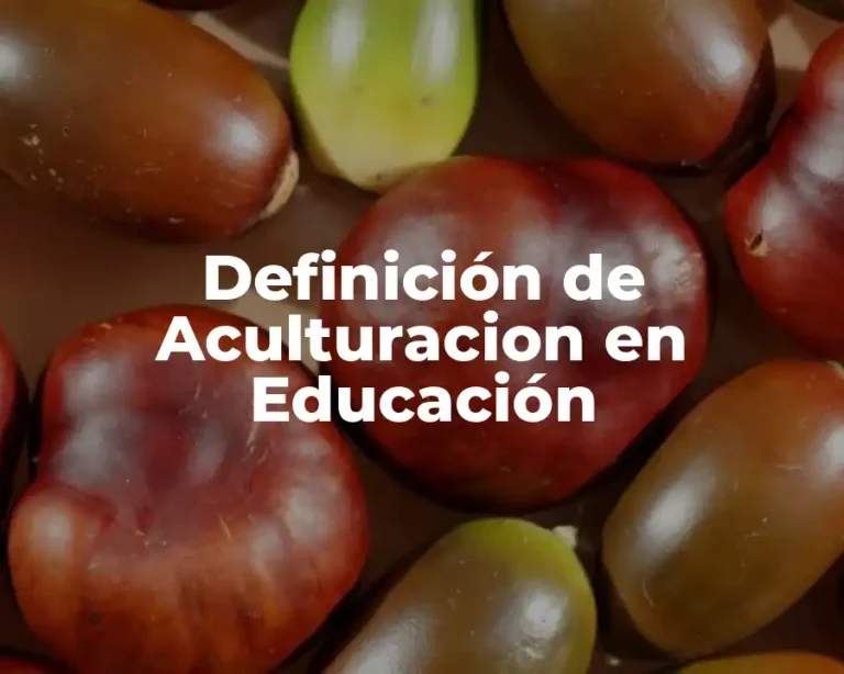 Definición de Aculturacion en Educación