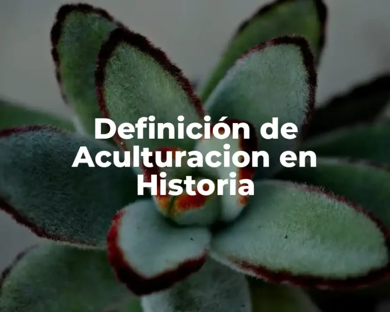 Definición de Aculturacion en Historia