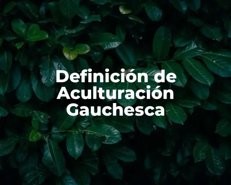 Definición de Aculturación Gauchesca