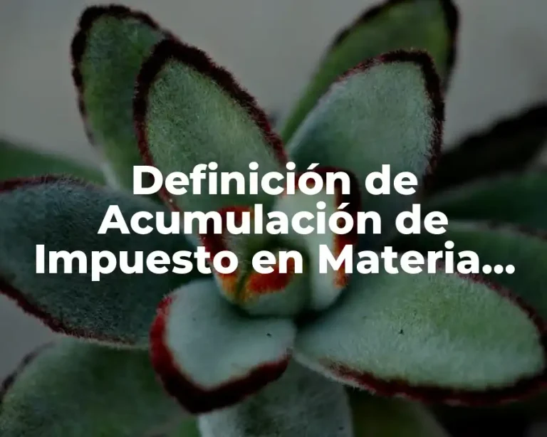 Definición de Acumulación de Impuesto en Materia Fiscal