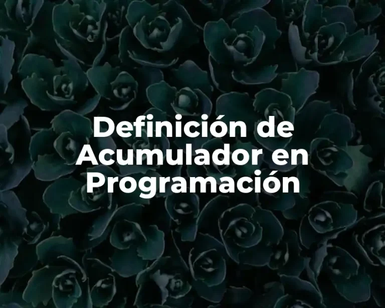 Definición de Acumulador en Programación