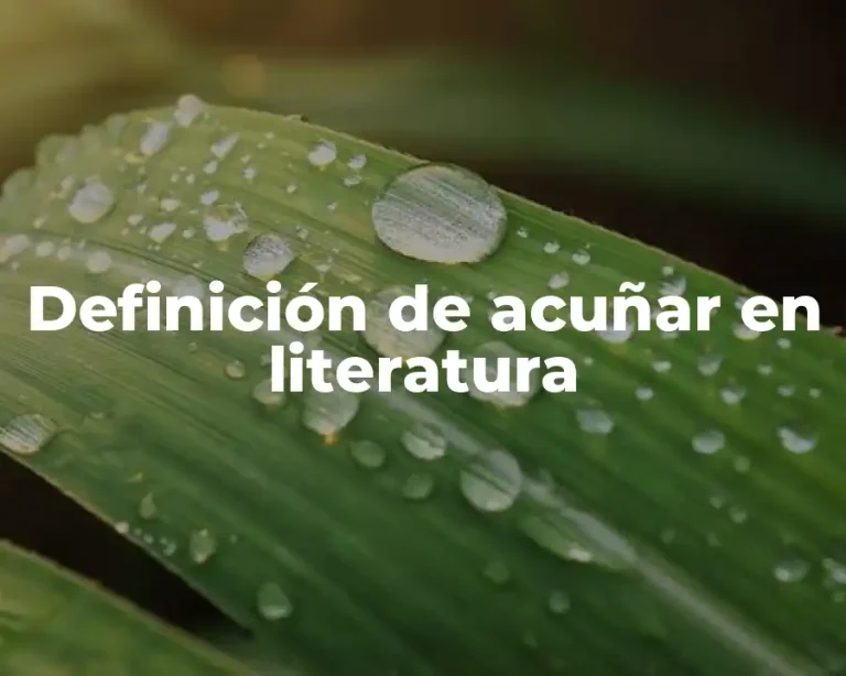 Definición de acuñar en literatura