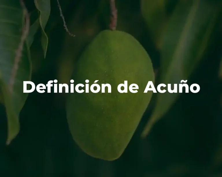 Definición de Acuño