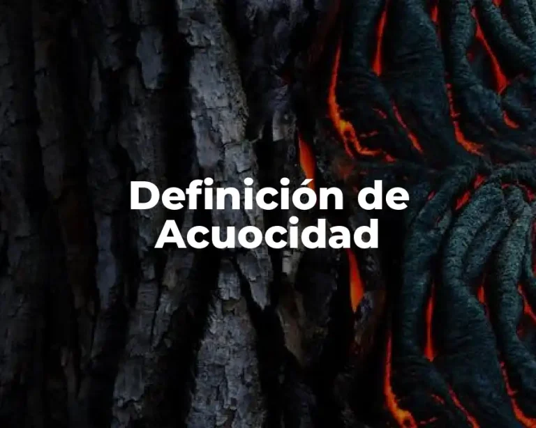 Definición de Acuocidad