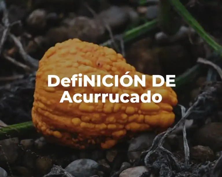 DefiNICIÓN DE Acurrucado