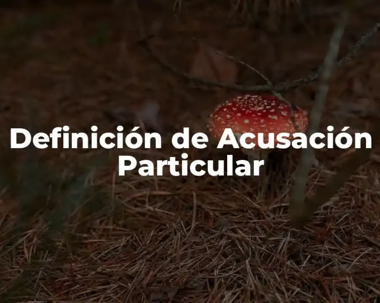 Definición de Acusación Particular
