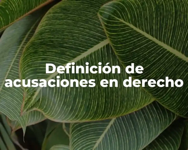 Definición de acusaciones en derecho