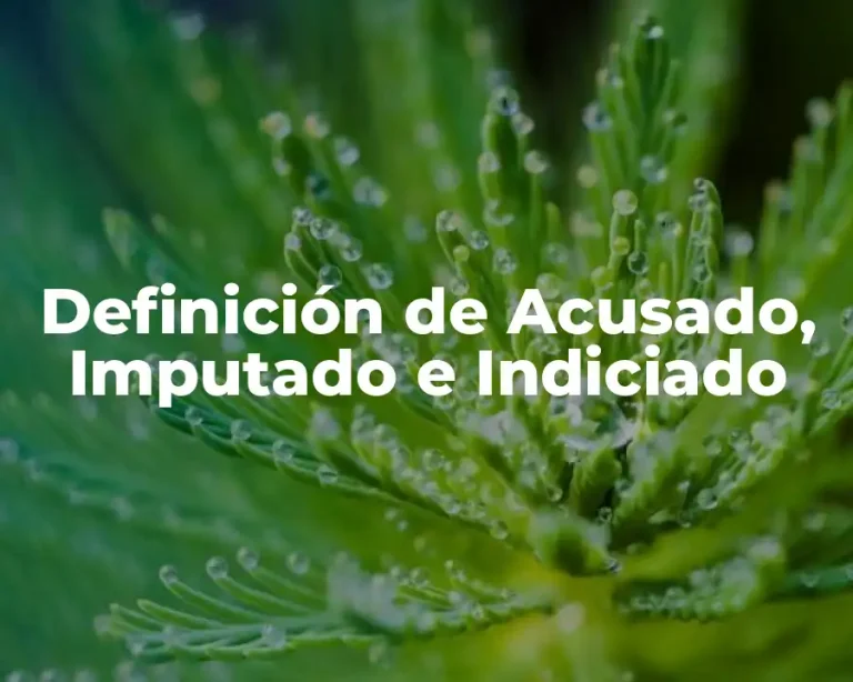 Definición de Acusado, Imputado e Indiciado