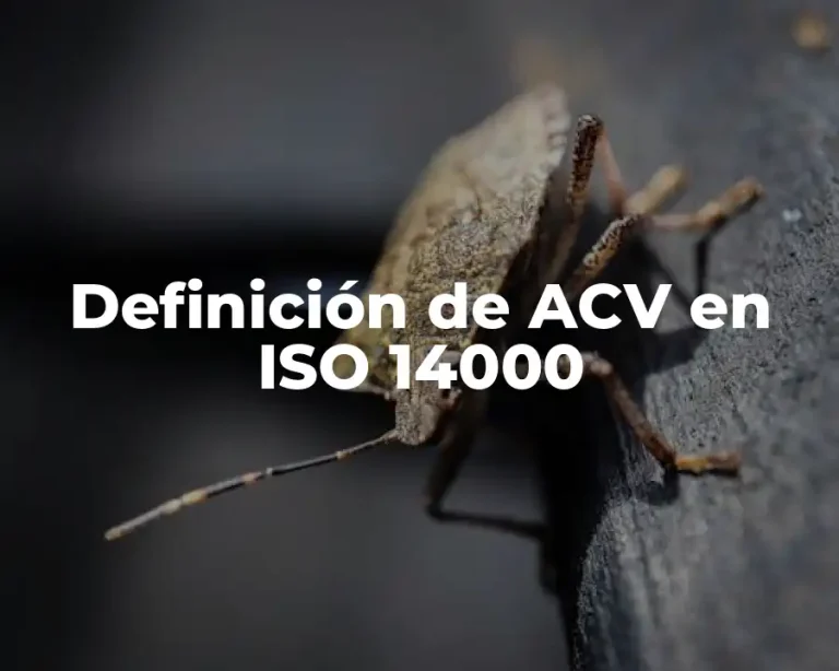 Definición de ACV en ISO 14000