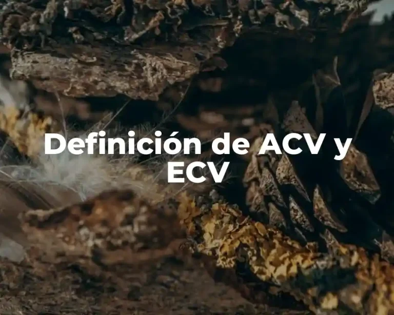 Definición de ACV y ECV