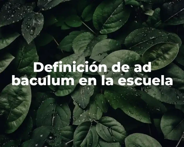 Definición de ad baculum en la escuela