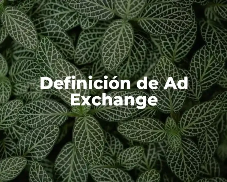 Definición de Ad Exchange