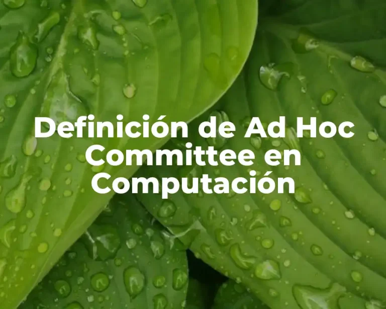 Definición de Ad Hoc Committee en Computación