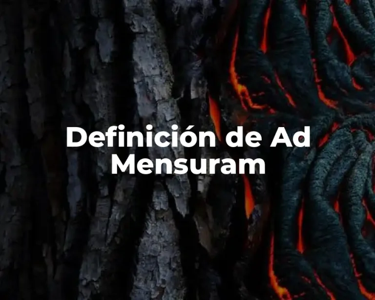 Definición de Ad Mensuram