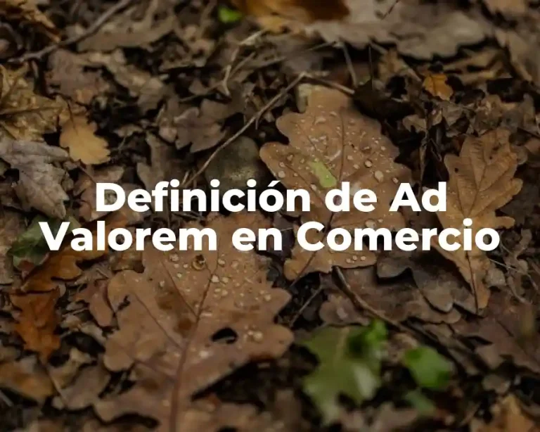 Definición de Ad Valorem en Comercio