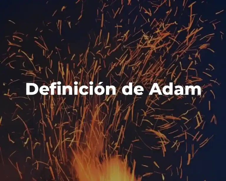 Definición de Adam