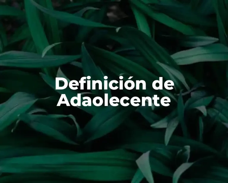 Definición de Adaolecente