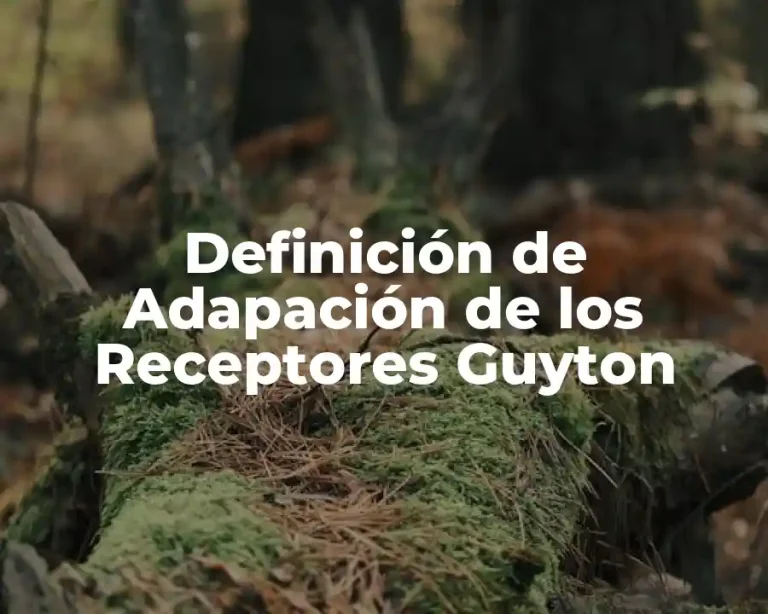 Definición de Adapación de los Receptores Guyton