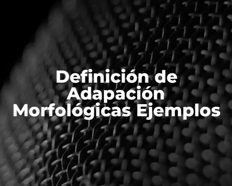 Definición de Adapación Morfológicas Ejemplos