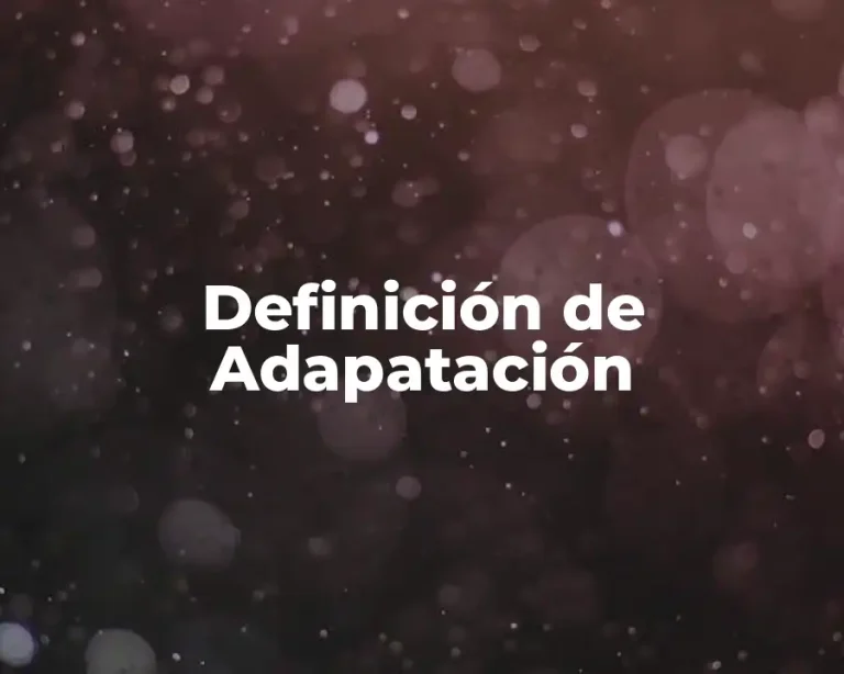 Definición de Adapatación