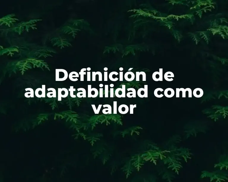 Definición de adaptabilidad como valor