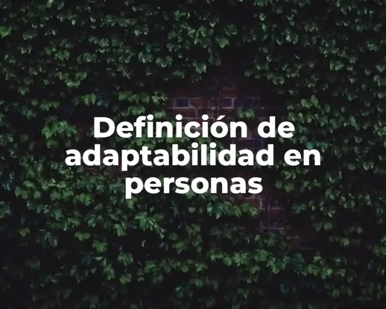 Definición de adaptabilidad en personas