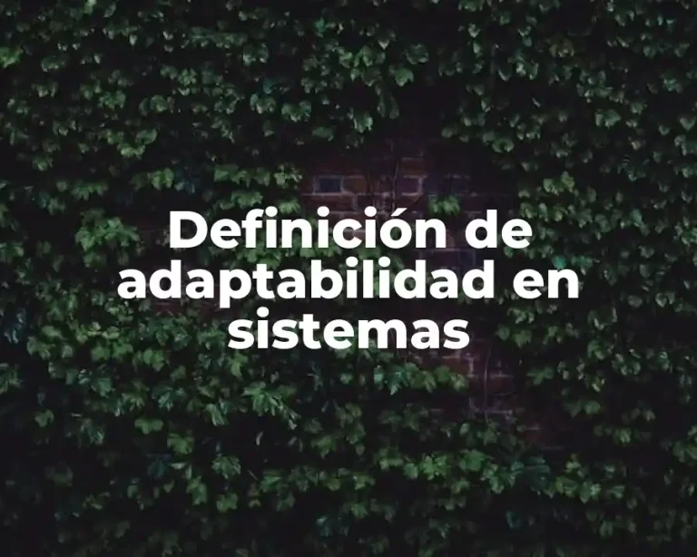 Definición de adaptabilidad en sistemas