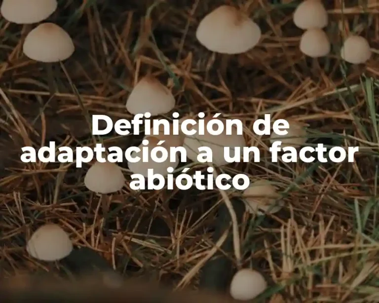 Definición de adaptación a un factor abiótico