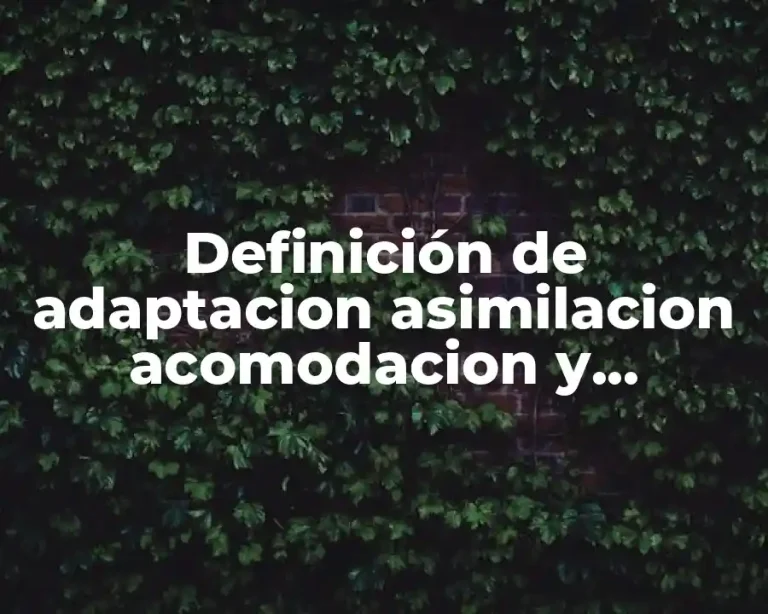 Definición de adaptacion asimilacion acomodacion y equilibrio