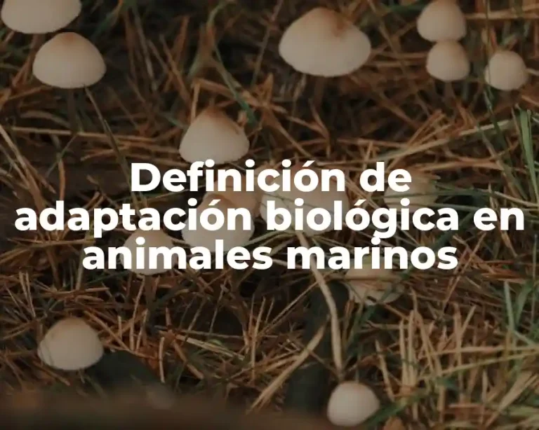 Definición de adaptación biológica en animales marinos