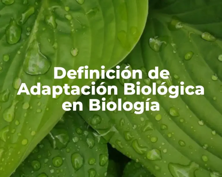 Definición de Adaptación Biológica en Biología