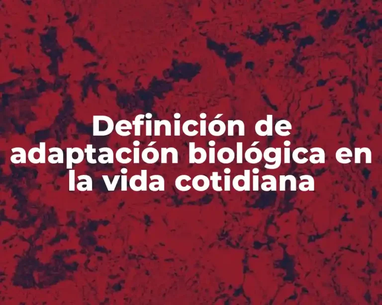 Definición de adaptación biológica en la vida cotidiana