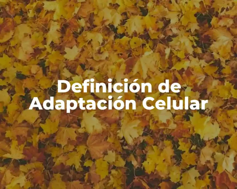 Definición de Adaptación Celular